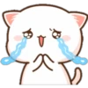 Mochis cat 1 Yeisi 26
