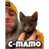 C-MAMO