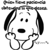 Snoopy 24