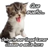 Que
suefio.
Deberia ser ilegal tener
dlases a esta hora