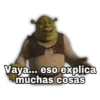 Shrek 19