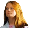 Harry Potter 17