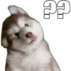 Perritos UwU 28