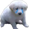 Perritos UwU 29