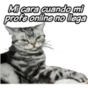 Micara cuando mi
profe online no llega