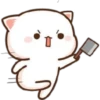 Mochis cat 1 Yeisi 29