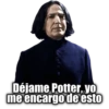 Déjame Potter, yo
me encargo de esto