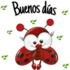 expresiones diarias 13