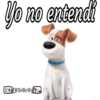 Yo no entendi