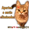 Cats Reactions 7
