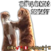 Cats Reactions 10