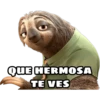 zootopia 9
