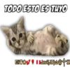 Cats Reactions 11