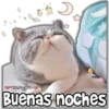 ViickyFo
Buenas noches