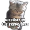 Me aBurren
tus Pendejabas
ViickyFo