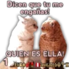 Cats Reactions 12