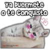 Ya Duermete
o te conquisto
A
ViickyFo