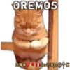 Cats Reactions 13
