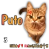 Cats Reactions 14