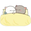 Gatinhos apaixonados 6