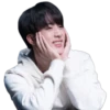 JIN(BTS) 11