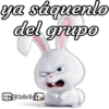 ya sáquenlo del grupo TO T