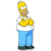 Homer Simpson expressions 14