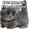Eres hermosa
y no se Discute
Viichgra