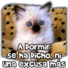 ViickyFa
A Dormir
se ha Dicho, ni
una excusa más