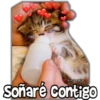 Viickgro
Soñaré contigo