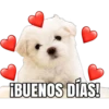 Cachorro Enamorado 5