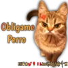 Cats Reactions 19