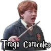 @josejnanir98
Traga Caracoles