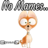 No Mames.. Tyllor 19