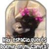 ViickyFa
Hay espacio,querés
Dormir en mi camita?