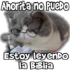 Ahorita no puedo
Estoy leyenDo
la Biblia