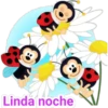 Linda noche