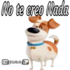 No te creo Nada Grillo PI