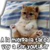 ViickyFa
A la mierda la tarea
voy a ser youtuber