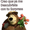 Masha y El Oso 21
