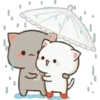 Gatinhos apaixonados 21