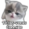 ViickyPa
Te las veras
Conmigo