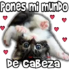 Pones mi mundo
ViickyFa
De cabeza