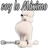 soy lo Máximo +30 Gril 1