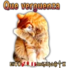 Cats Reactions 24