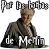 Por bs barbas
de Metlin
864uenfasofo
