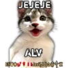 Cats Reactions 25