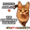 Cats Reactions 26