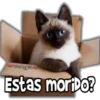 ViickyFa
Estas moriDo?