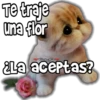 Te traje
una flor
Viickgre
¿La aceptas?